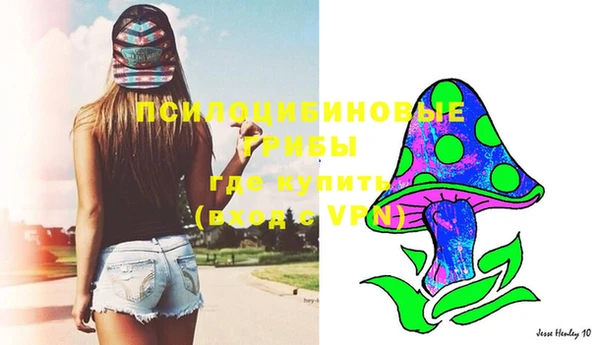 хмурый Балахна