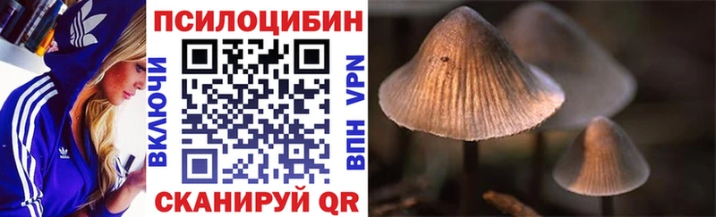 OMG ссылки  Сковородино  Галлюциногенные грибы Cubensis 